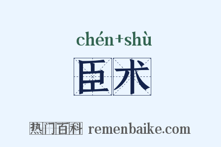 臣术是什么意思的图片